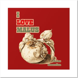 I Love Malus, Malus domestica. For Apple Lovers Everywhere! Posters and Art